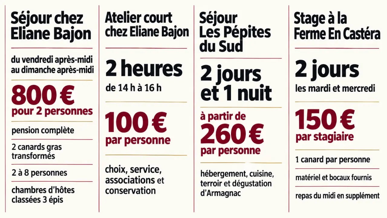 Comparatif visuel des formats de stage foie gras dans le Gers, avec durées, tarifs et prestations incluses